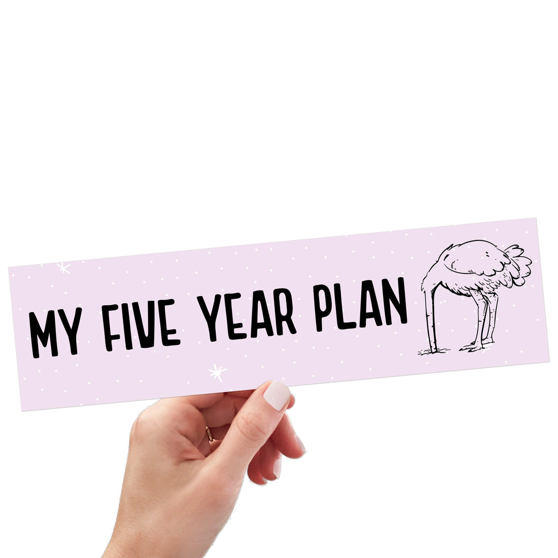 My Five Year Plan